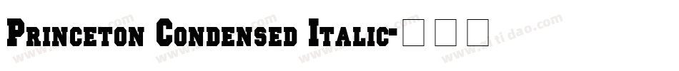 Princeton Condensed Italic字体转换